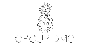 Logo de Grupo DMC